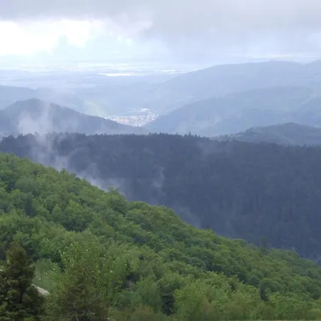 Restaurant Wolf Hotel 3*