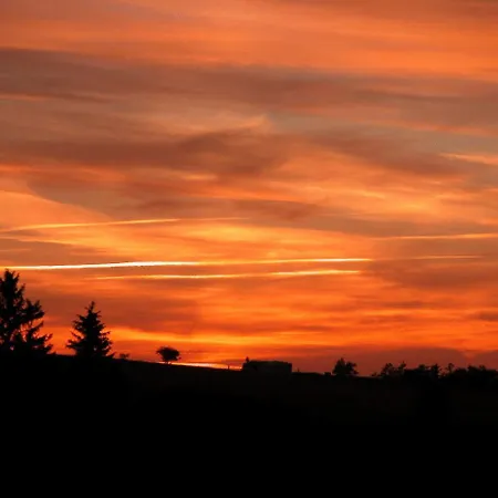 Restaurant Wolf Hotel