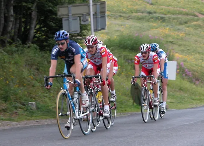 Restaurant Wolf Hotel