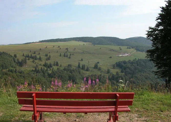 Restaurant Wolf Hotel