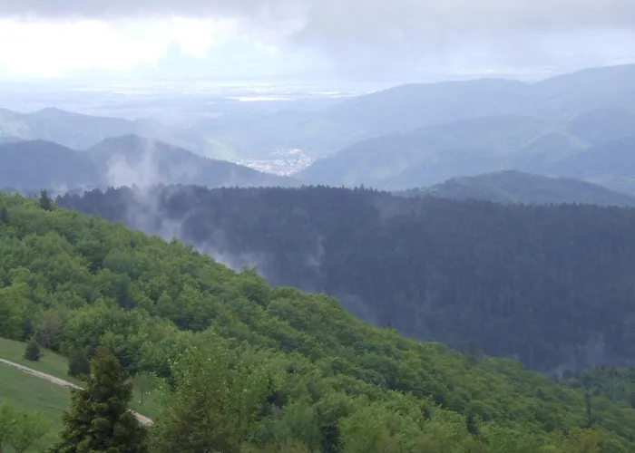 Restaurant Wolf Hotel 3*