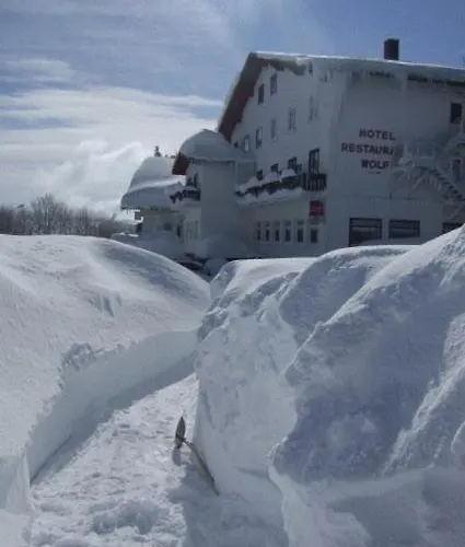 Hotel Restaurant Wolf